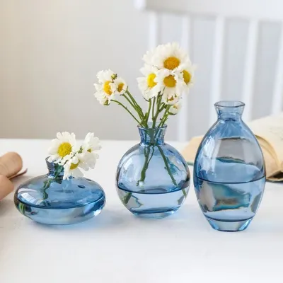 Jarrones de vidrio para plantas hidropónicas y macetas de vidrio